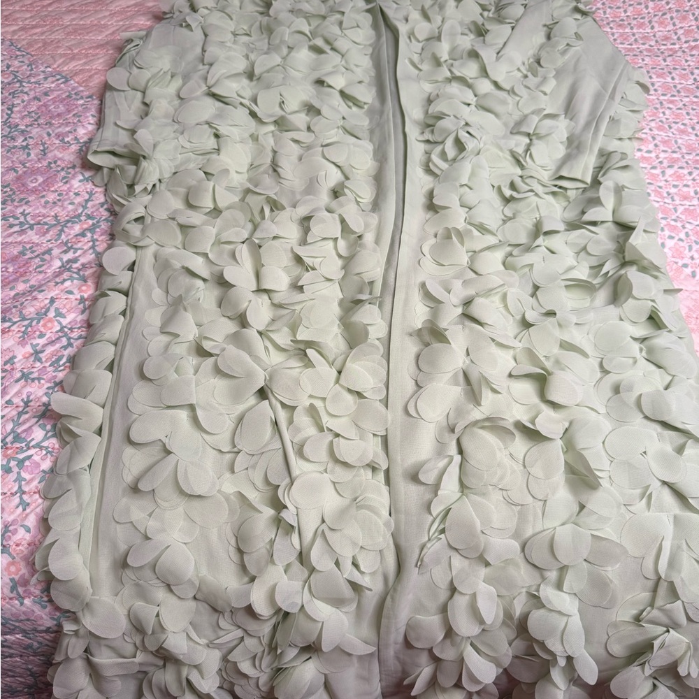 Zara Light Green Textured Jacket